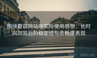 围绕蘑菇网站的实际使用感想：长时间浏览后的稳定性与流畅度表现