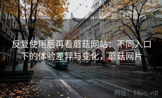 反复使用后再看蘑菇网站：不同入口下的体验差异与变化，蘑菇网片