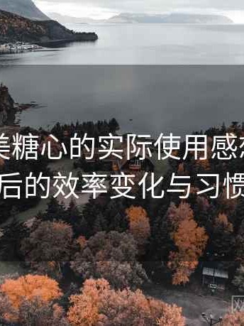 围绕天美糖心的实际使用感想：长期使用后的效率变化与习惯调整