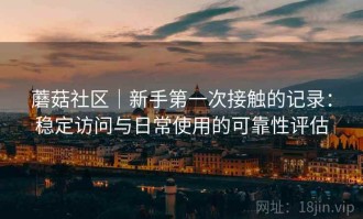 蘑菇社区｜新手第一次接触的记录：稳定访问与日常使用的可靠性评估