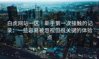 白虎网站一区｜新手第一次接触的记录：一些容易被忽视但很关键的体验点