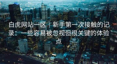 白虎网站一区｜新手第一次接触的记录：一些容易被忽视但很关键的体验点
