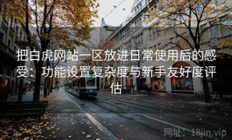 把白虎网站一区放进日常使用后的感受：功能设置复杂度与新手友好度评估