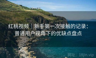 红桃视频｜新手第一次接触的记录：普通用户视角下的优缺点盘点