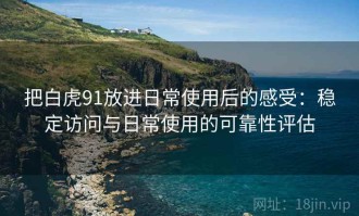 把白虎91放进日常使用后的感受：稳定访问与日常使用的可靠性评估