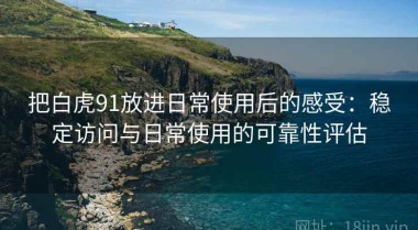 把白虎91放进日常使用后的感受：稳定访问与日常使用的可靠性评估