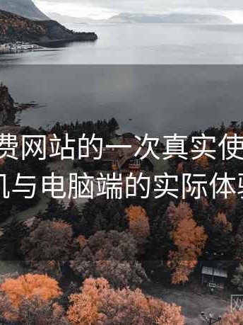 白虎免费网站的一次真实使用体验：在手机与电脑端的实际体验差别