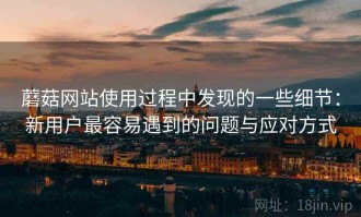 蘑菇网站使用过程中发现的一些细节：新用户最容易遇到的问题与应对方式