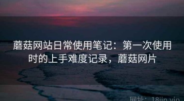 蘑菇网站日常使用笔记：第一次使用时的上手难度记录，蘑菇网片