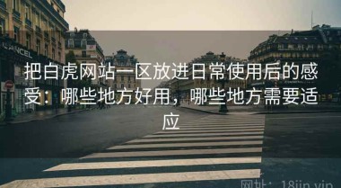 把白虎网站一区放进日常使用后的感受：哪些地方好用，哪些地方需要适应