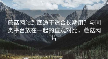蘑菇网站到底适不适合长期用？与同类平台放在一起的直观对比，蘑菇网片