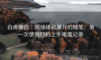 白虎嫩白｜围绕体验展开的随笔：第一次使用时的上手难度记录