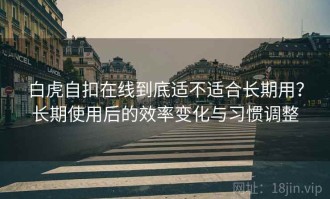 白虎自扣在线到底适不适合长期用？长期使用后的效率变化与习惯调整