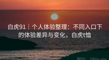 白虎91｜个人体验整理：不同入口下的体验差异与变化，白虎t恤