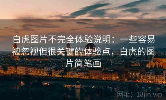 白虎图片不完全体验说明：一些容易被忽视但很关键的体验点，白虎的图片简笔画