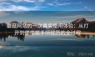 蘑菇网站的一次真实使用体验：从打开到使用顺手所经历的全过程