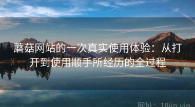 蘑菇网站的一次真实使用体验：从打开到使用顺手所经历的全过程