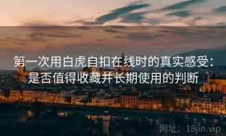 第一次用白虎自扣在线时的真实感受：是否值得收藏并长期使用的判断