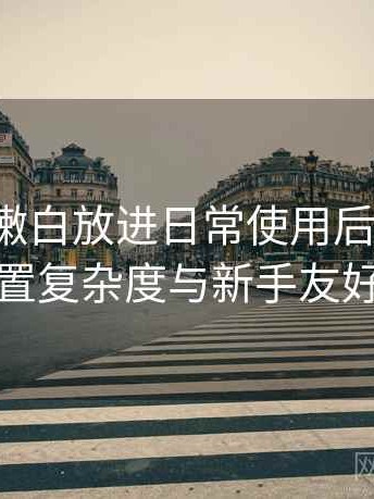 把白虎嫩白放进日常使用后的感受：功能设置复杂度与新手友好度评估