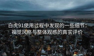 白虎91使用过程中发现的一些细节：视觉风格与整体观感的真实评价