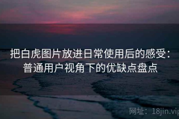 把白虎图片放进日常使用后的感受：普通用户视角下的优缺点盘点