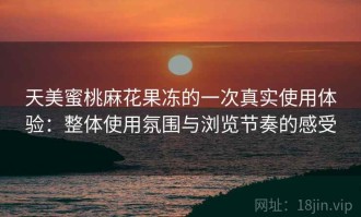 天美蜜桃麻花果冻的一次真实使用体验：整体使用氛围与浏览节奏的感受