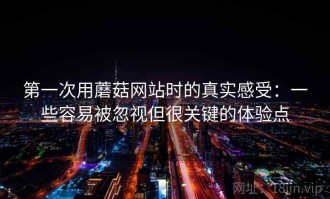第一次用蘑菇网站时的真实感受：一些容易被忽视但很关键的体验点