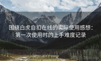 围绕白虎自扣在线的实际使用感想：第一次使用时的上手难度记录