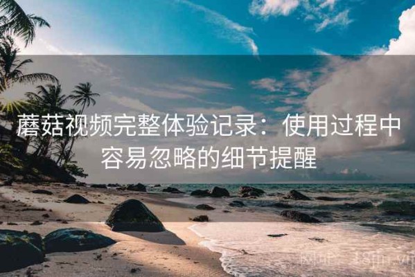 蘑菇视频完整体验记录：使用过程中容易忽略的细节提醒