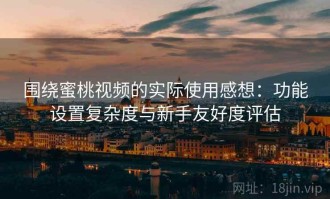 围绕蜜桃视频的实际使用感想：功能设置复杂度与新手友好度评估