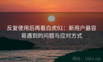 反复使用后再看白虎91：新用户最容易遇到的问题与应对方式