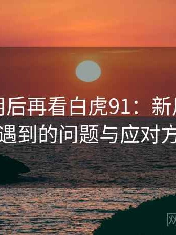 反复使用后再看白虎91：新用户最容易遇到的问题与应对方式