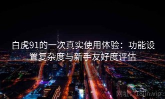 白虎91的一次真实使用体验：功能设置复杂度与新手友好度评估