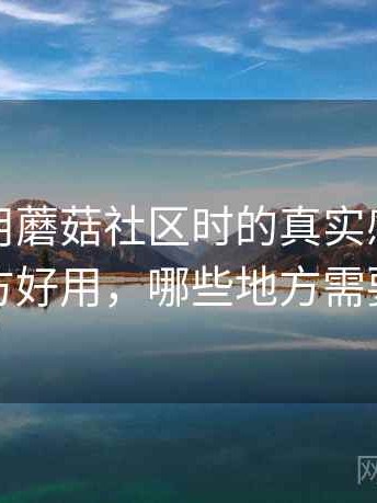第一次用蘑菇社区时的真实感受：哪些地方好用，哪些地方需要适应
