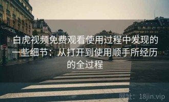 白虎视频免费观看使用过程中发现的一些细节：从打开到使用顺手所经历的全过程