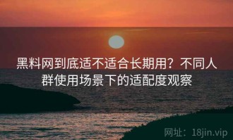 黑料网到底适不适合长期用？不同人群使用场景下的适配度观察