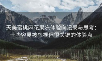 天美蜜桃麻花果冻体验向记录与思考：一些容易被忽视但很关键的体验点