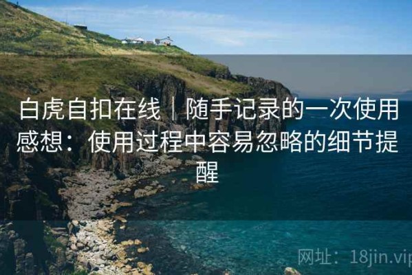 白虎自扣在线｜随手记录的一次使用感想：使用过程中容易忽略的细节提醒
