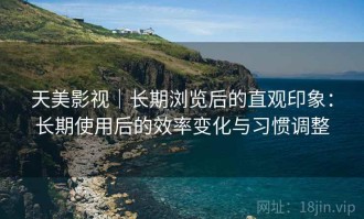 天美影视｜长期浏览后的直观印象：长期使用后的效率变化与习惯调整