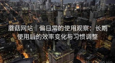 蘑菇网站｜偏日常的使用观察：长期使用后的效率变化与习惯调整