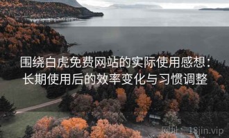 围绕白虎免费网站的实际使用感想：长期使用后的效率变化与习惯调整