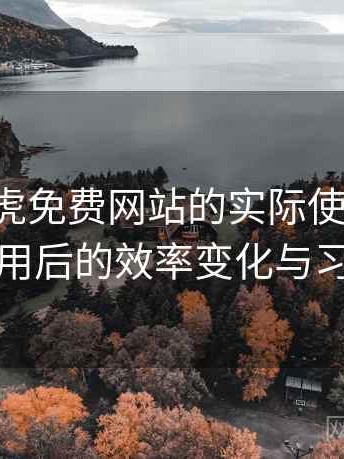 围绕白虎免费网站的实际使用感想：长期使用后的效率变化与习惯调整