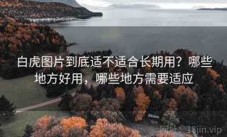 白虎图片到底适不适合长期用？哪些地方好用，哪些地方需要适应