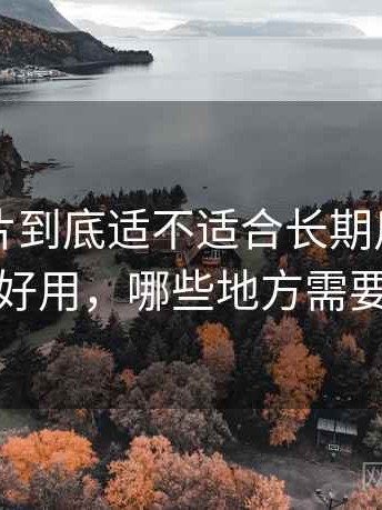 白虎图片到底适不适合长期用？哪些地方好用，哪些地方需要适应