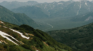 白虎图片｜基于实际使用的观察笔记：访问方式、内容分布与整体使用感受