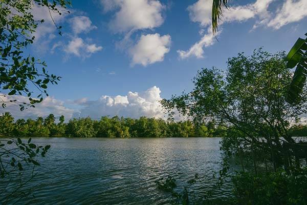天美糖心的一次真实使用体验：使用过程中容易忽略的细节提醒，天美糖艺棒棒糖价格