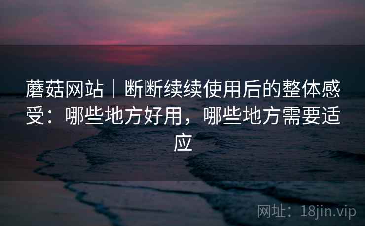 蘑菇网站｜断断续续使用后的整体感受：哪些地方好用，哪些地方需要适应