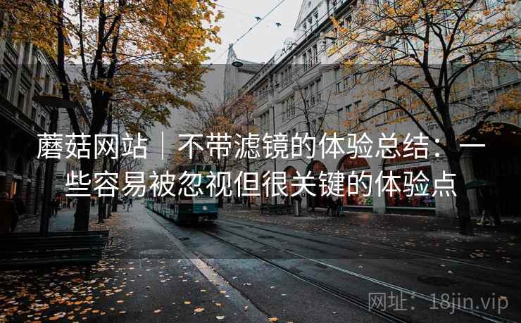蘑菇网站｜不带滤镜的体验总结：一些容易被忽视但很关键的体验点