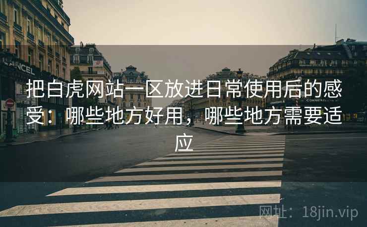 把白虎网站一区放进日常使用后的感受：哪些地方好用，哪些地方需要适应