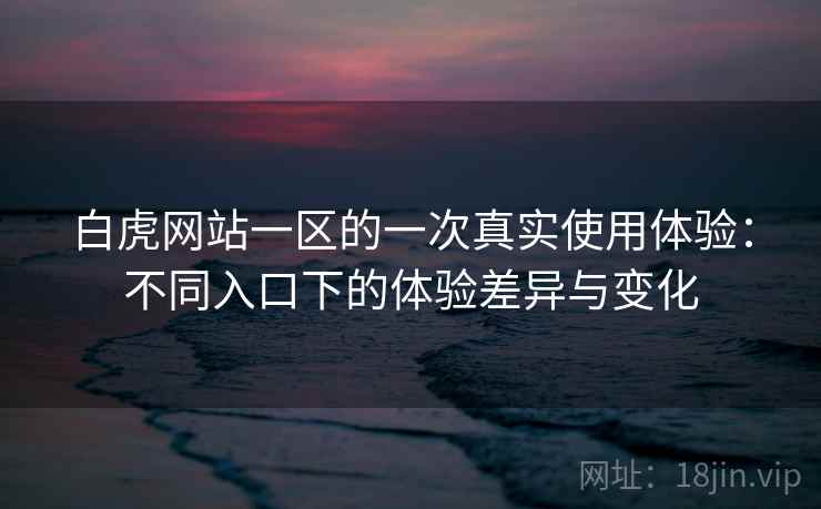 白虎网站一区的一次真实使用体验：不同入口下的体验差异与变化